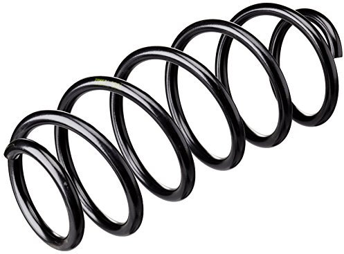 lesjofers 4095074 Coil Spring Front
