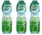 Teisseire Sirop de Menthe Verte pour Boisson Rafraîchissante, Cocktails, Bidon Recyclable (Lot de 3)