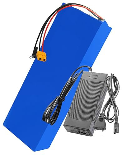 stdpcxz 48V 10/12/15/20Ah Li-Ion Battery Pack Electric con Scheda di Protezione BMS + Caricabatterie Batteria di Ricambio per 1000 W [Classe di Efficienza Energetica A] 48V10AH,XT60
