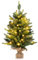 COSTWAY 60 cm künstlicher Weihnachtsbaum mit Beleuchtung, Kleiner Tannenbaum, Tisch-Weihnachtsbaum mit 35 warmweißen LED-Lichtern und Timer für Weihnachtsdeko, Grün