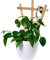 dobar® Green Label 29186FSCe | Dekorative Blumentopf-Rankhilfe Positano | 4er-Set Rankgitter aus Holz | 27,9 x 1,4 x 39 cm | Pflanzstütze Gr. L | Braun