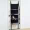 DoubleFill Door Hanging Cat Tree Climber - 4 Levels Ladder Door Mounted Climbing Shelves Wall Perch Vertical Hammock Elevated Bed for Indoor Cats - 22 L x 12 W x 54.3 H