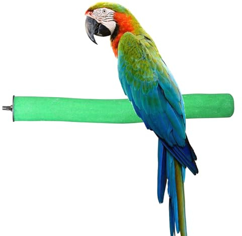 Bird Perch Rough-surfaced Nature Wood Stand Toy Branch for Parrots (Straight Perch, M)