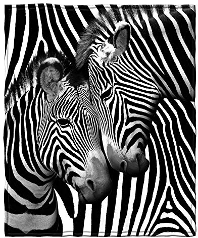 YISUMEI Decke 150x200 cm Kuscheldecken Sanft Flanell Weich Fleecedecke Bettüberwurf Zebra