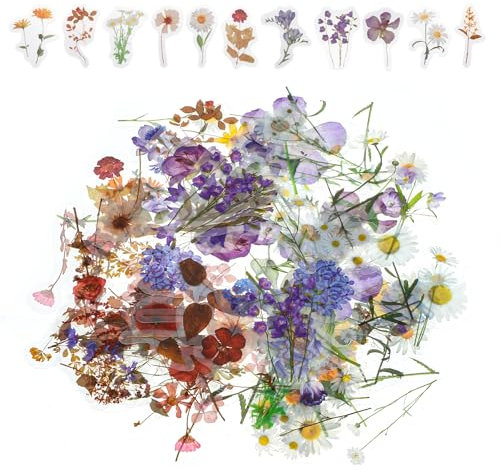 Lnngub 120 Stück Blumen Scrapbooking Aufkleber, Wasserfeste PET Blumenaufkleber Selbstklebende Bunte Flower Stickers Vintage Pflanzen Aufkleber für Scrapbooks, Fotoalben, Notizblöcke, Karten, Handwerk