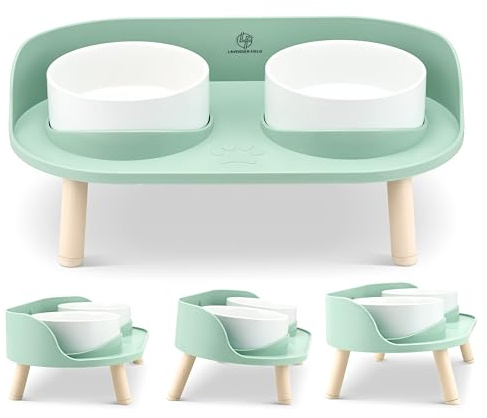 Raised cat bowls with stand tilted, Ceramic cat bowls, and Kitten bowl