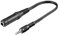 goobay 50470-GB Adaptateur de Casque - Adaptateur auxiliaire - Mâle 3.5mm vers Femelle 6.35mm, Noir, 0.2m Longueur de Câble