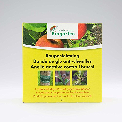 Andermatt Biogarten Raupenleimring