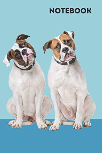 American Bulldog Notebook: blank lined composition journal | American Bulldog dog | 100 pages