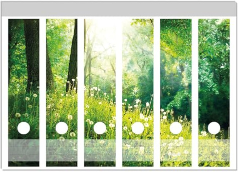 Wallario Ordnerrücken Sticker Pusteblumen im Wald mit einfallenden Sonnenstrahlen - Größe 6 Stück, Rückenschilder für 6 breite Ordner, Klebeetiketten