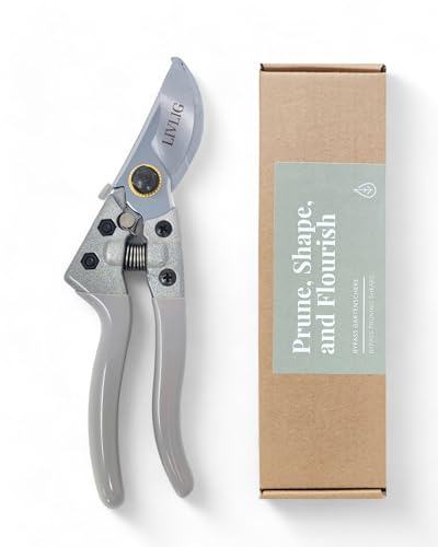 LIVLIG Gartenschere, Hochwertige Stahl-Klingen, Professionelle Bypass Schere, Universelle Blumenschere, Pflanzenschere und Rosenschere, Gartenwerkzeug für Pflanzen