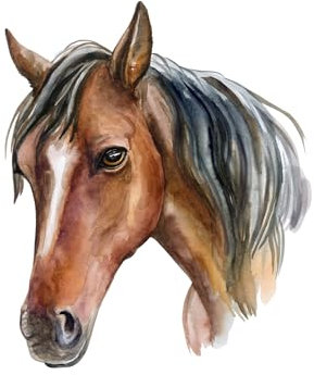 Edible print Horse Cake topper decoration icing paper up to 7 - uncut (6)