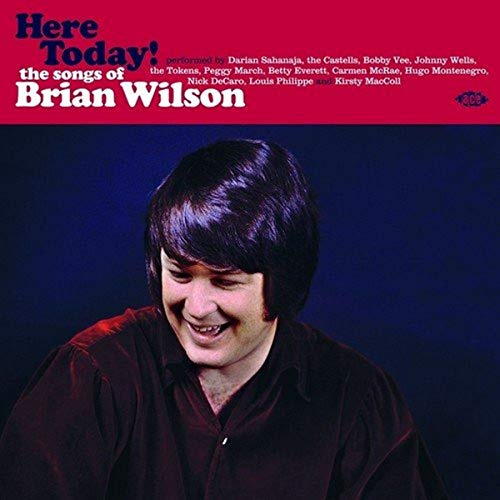 Here Today! Songs Of Brian Wilson / Various