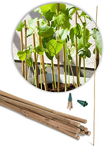 Novatool 10x Tonkinstäbe 120 cm und 3X Pyramidenspitze Rankgerüst Doppelbogen Kletterhilfe für Pflanzen Rosen Erdbeeren Obelisk Rankhilfe für Kletterpflanzen Zimmerpflanzen Pyramiden Hochbeet