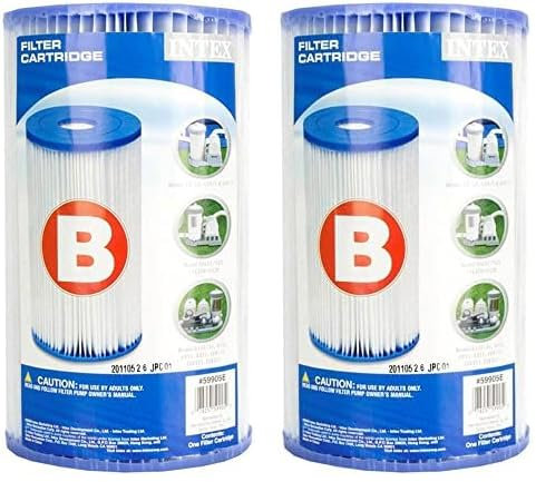 Intex - 29005 - Cartouche De Filtration B (Lot de 2)