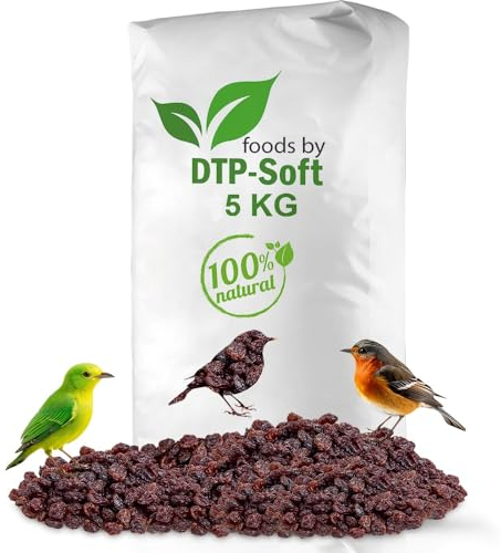 Vogelfutter | Wildvogelfutter Ganzjährig | Futterrosinen | Rosinen | Vögel | für Amseln, Gimpel, Kleiber, Grünfink | Ohne chemische Zusätze | Premium (5kg)