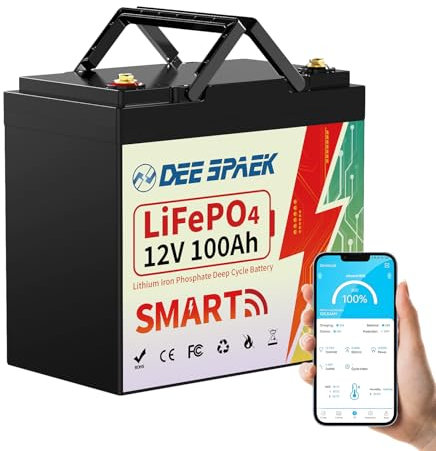 Mini Batterie 12V 100Ah LiFePO4 avec surveillance Bluetooth, 15000+ batterie au lithium 12V de cycle profond, 100A Smart BMS, adapté pour le camping-car, solaire, maritime, maritime, moteur maritime