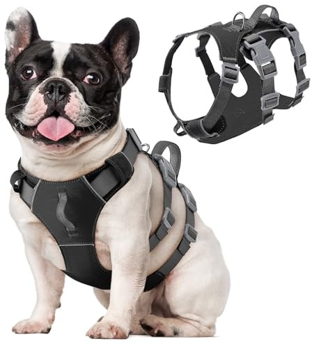 Eyein Hundegeschirr für kleine mittlere Hunde, Leichtes und Atmungsaktiv No Pull Brustgeschirr mit Griff, reflektierend Nylon Geschirr mit Frontclip für Wandern und täglichen Gebrauch, Schwarz, S