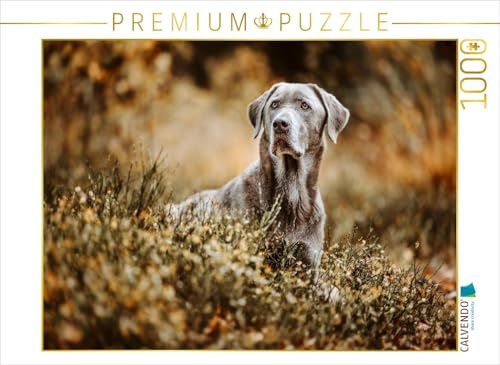 Puzzle · Labrador Retriever im Wald | Sanfter Riese im Spätsommer · Würde in Farbe gefasst · 1000 Teile · Lege-Größe 64 × 48 cm · CALVENDO Puzzle