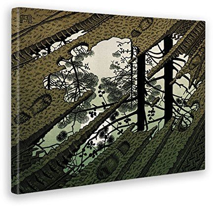 Giallobus - BILD - DRUCK AUF LEINWAND - LIZARD - PFÜTZE - 50 x 70 CM