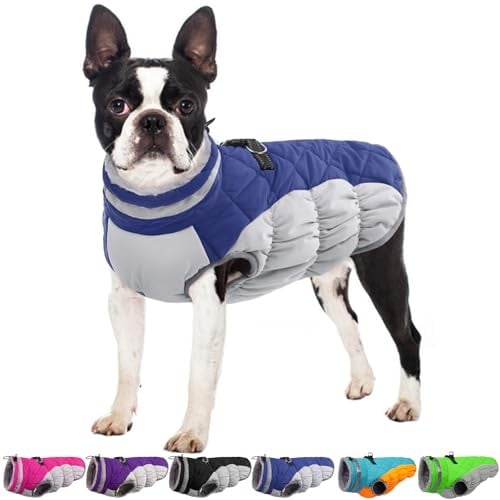 Hunde-Winterjacke, gemütlich, reflektierend, wasserdicht, winddicht, warm, Haustier-Kleidung, bequemes kaltes Wetter, Fleece-Bekleidung, Outfits mit Reißverschluss, Welpen, Spaziergänge und Wandern