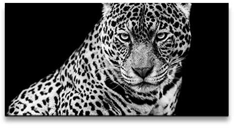 Paul Sinus Leinwandbild 120x60cm Leopard Raubkatze Großkatze Schwarz Weiß Tierfotografie