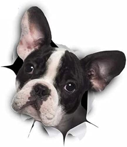 MFKTO Car Sticker 20Cm(7.87 Inches) For Dog Fine Car Stickers Auto Refrigerator Decal Bumper Air Conditioner Decals Repair Decoration（D1N6871N）（3Pcs）