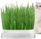 Rurunklee Cat Grass Planting Box, Cat Grass Planting Container, Cat Snack Cat Planting Hydroponic Box, Cat Grass Pot, Hydroponic Cat Grass Box, Catgrass Planting Bowl for Cats
