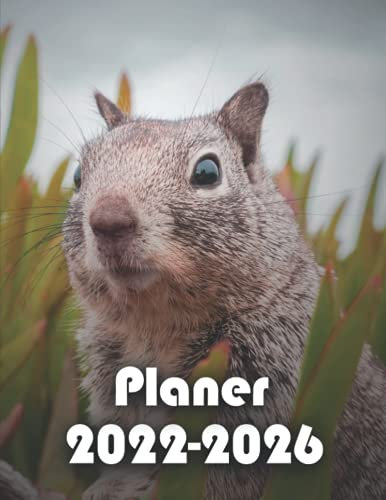 Planer 2022-2026: 5-Jahres-Planer 2022-2026 & Schulplaner 2022-2026 & Geschenk für Eichhörnchenliebhaber,Weihnachten und Halloween… v3