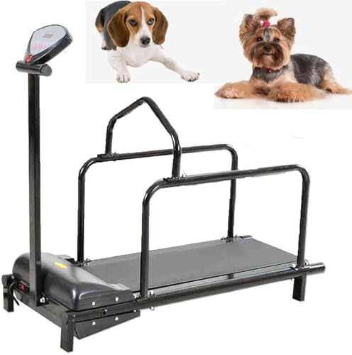Laufrad-Trainingsgerät für Hunde,Laufband-Spielzeug für Haustiere,Trainingsgerät für Laufbänder für kleine Hunde,Training und Gewichtsverlust für kleine Hunde,für Hof/Haus/Innenbereich