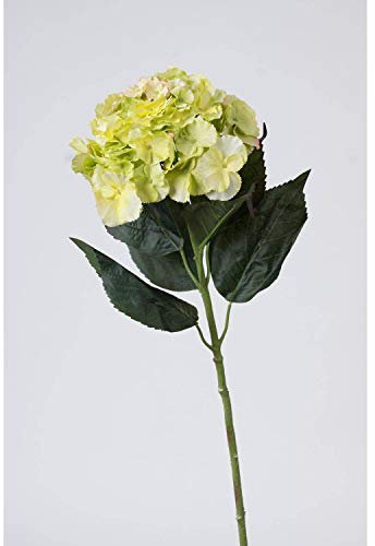 artplants.de Künstliche Hortensie, Creme - grün, 70cm, Ø 23cm - Kunstblume weiß - Kunst Hortensie