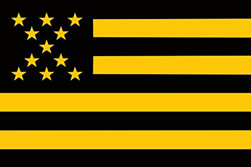 magFlags Bandera Large Club-Atletico-penarol | Uruguayan Club Atlético Peñarol de Montevideo | Bandera Paisaje | 1.35m² | 90x150cm