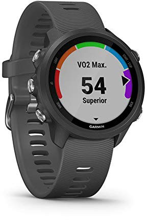 Garmin Forerunner 245 - Orologio intelligente Grigio