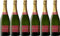 Strauch Sektmanufaktur RIESLING Brut (herb) Bio (6 x 0.75 l)