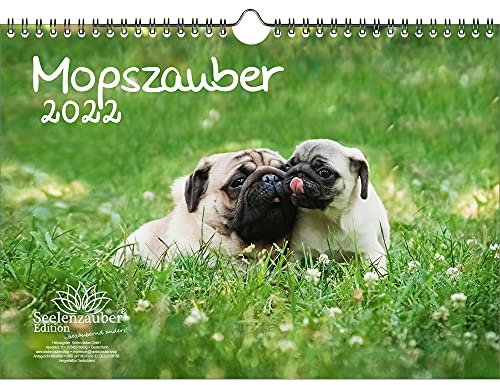 Mopszauber DIN A4 Kalender für 2022 Mops Hunde und Welpen - Seelenzauber