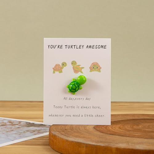 ARVOV Pocket Penguin Hug, Pinguin Geschenk, Pinguine Kleine Umarmung, Ermutigende Geschenke, Trost Geschenke, Get Well Soon Gift, Mini Pinguin Spielzeug Dekoration (Schildkröte)