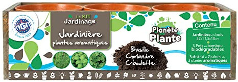 PLANÈTE PLANTE - Jardinière en Bois avec 3 Pots Biodegradables et Graines À Planter - Kit de Jardinage - 170038 - Bois - Jardin - Nature - Plante - Fleurs - Jeu pour Enfant - À Partir de 4 Ans