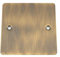 Antique Brass Flat Blank Plate Single