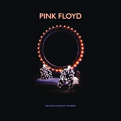 Delicate Sound Of Thunder Deluxe