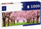 Lais Puzzle Fiori di ciliegio, Panorama 1000 Pezzi
