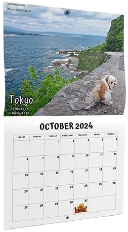 Hatem Kalender „Hund Kackt An Schönen Orten“ 2024 (Vorbestellung) – Lustige Wandkunst, Weihnachtsfeiertags-Gag, Geschenk, Streichartikel, Langlebig, Einfach zu Verwenden, 20 X 19 cm