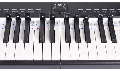 Golden Apple Removable PVC Piano 88 Key Notes Letter Label for Beginner Piano Keyboard Notes Lables Reusable Piano Notes Guide (Colorful)