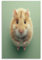 UNRXJZLVM Hamster Poster, DekoRatteives Gemälde, Leinwand, Wandkunst, Wohnzimmer, Poster, Schlafzimmer, Gemälde 16x24inch(40x60cm)
