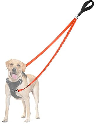 PetBonus Laisse Anti-Traction pour Chien, Double Laisse Anti-Traction réfléchissant, pour l'entraînement et la Marche, pour Chiens de Grande Taille et Moyenne (Orange)