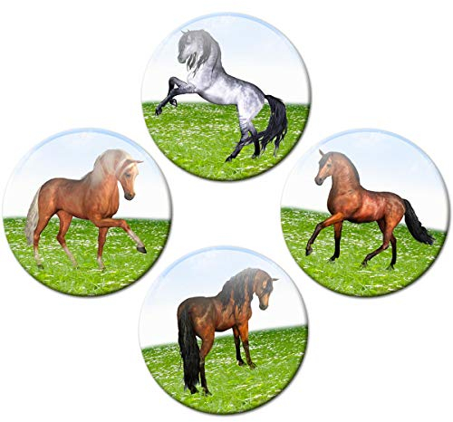 Kühlschrankmagnete Pferde 4er Geschenk Set Pferdemotiv Magnete lustig für Magnettafel Kinder stark groß Ø 50 mm