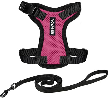 Voyager Step-in Lock Katzengeschirr und reflektierende Katzenleine mit Neoprengriff by Best Pet Supplies - Unterstützt kleine, mittlereund große Katzenrassen, Fuchisa / Schwarzer Rand, size XS - 1,5 m