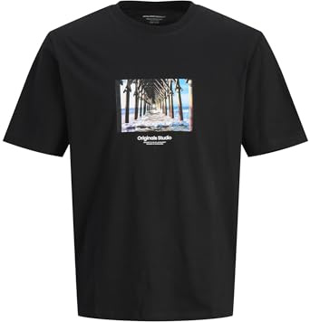 Jack & Jones Herren Jorvesterbro Picture Tee Ss Crew Neck Sn Jorvesterbro Picture Tee Ss Crew Neck Sn (1er Pack)