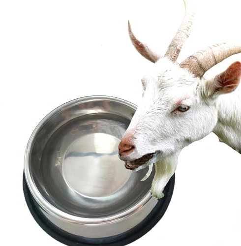 scyca Heated Water Bowl for Pets Outdoors, Heated Water Bowl for Pets - Frost-proof Stainless Steel Food and Water Bowl - Thermostatically Controlled Heated Food Bowl, Large