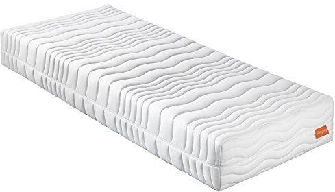 sleepling 190168 Matratze Innovation 300 | 7-Zonen Kaltschaummatratze | Wendegriffe | Härtegrad 2.5 bis 100 kg | Made in EU | Ökotex | waschbar 60 Grad | 180 x 200 cm, weiß