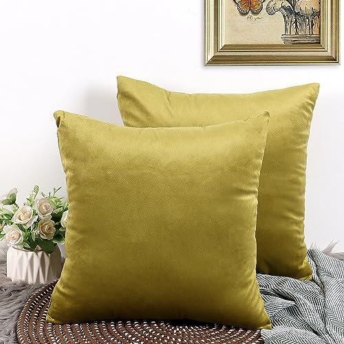 CALIYO Kissenbezug 40x40, Samt Uni Kissenhülle, Kissenbezüge für Zierkissen Dekokissen Sofakissen Couchkissen viele Farben (40x40 cm, Olivgruen).